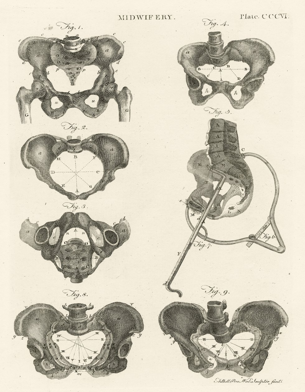 Jordmor, illustrasjon fra 'Encyclopedia Britannica', utgitt i Edinburgh, 1798 (kobberstikk) av Alexander Bell