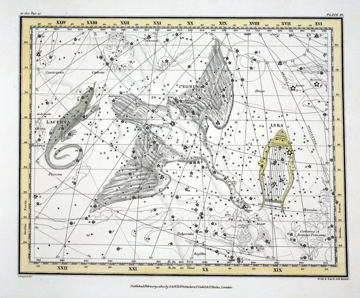 The Constellations (Plate XI) Cygnus, Lacerta og Via Lactea, fra 