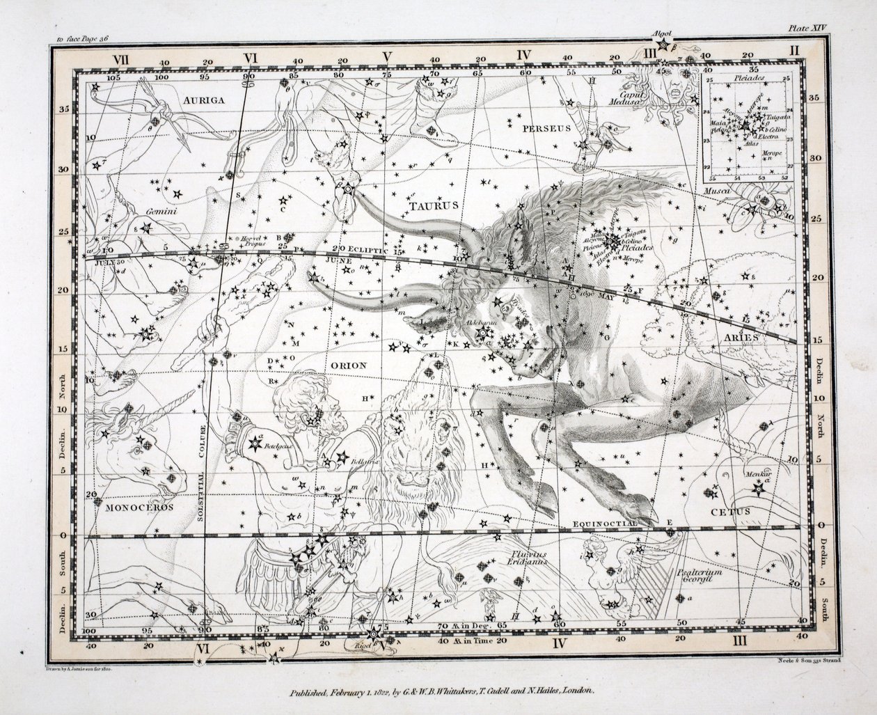 The Constellations (Plate XIV) Taurus, fra 
