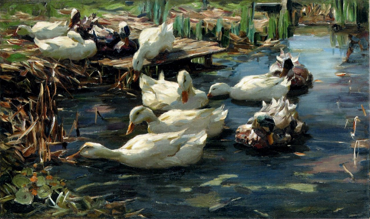 Ender i et basseng av Alexander Koester