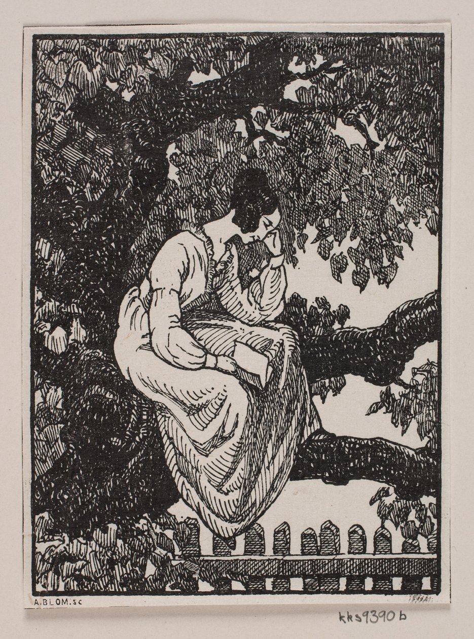  av Alexander Blom