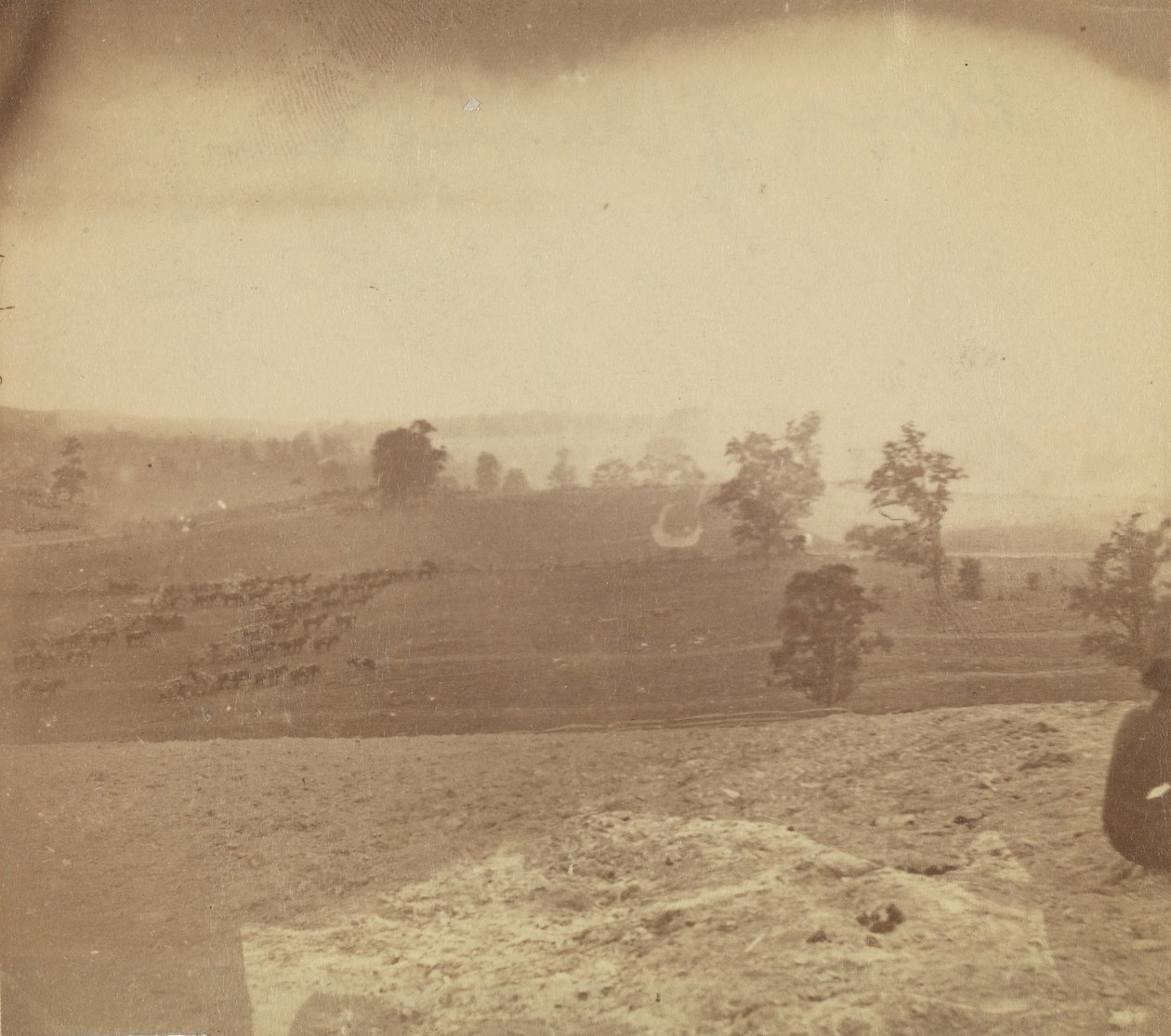 [Antietam Battlefield], 1862. av Alexander Gardner