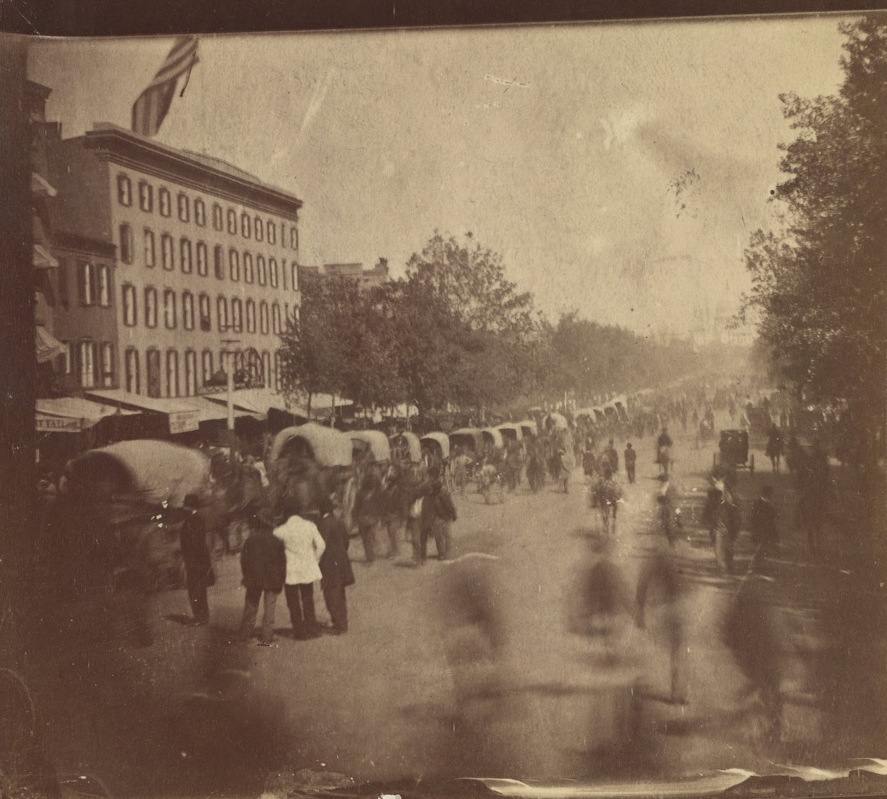 [Grand Army Review, Washington, D.C.], mai 1865. av Alexander Gardner