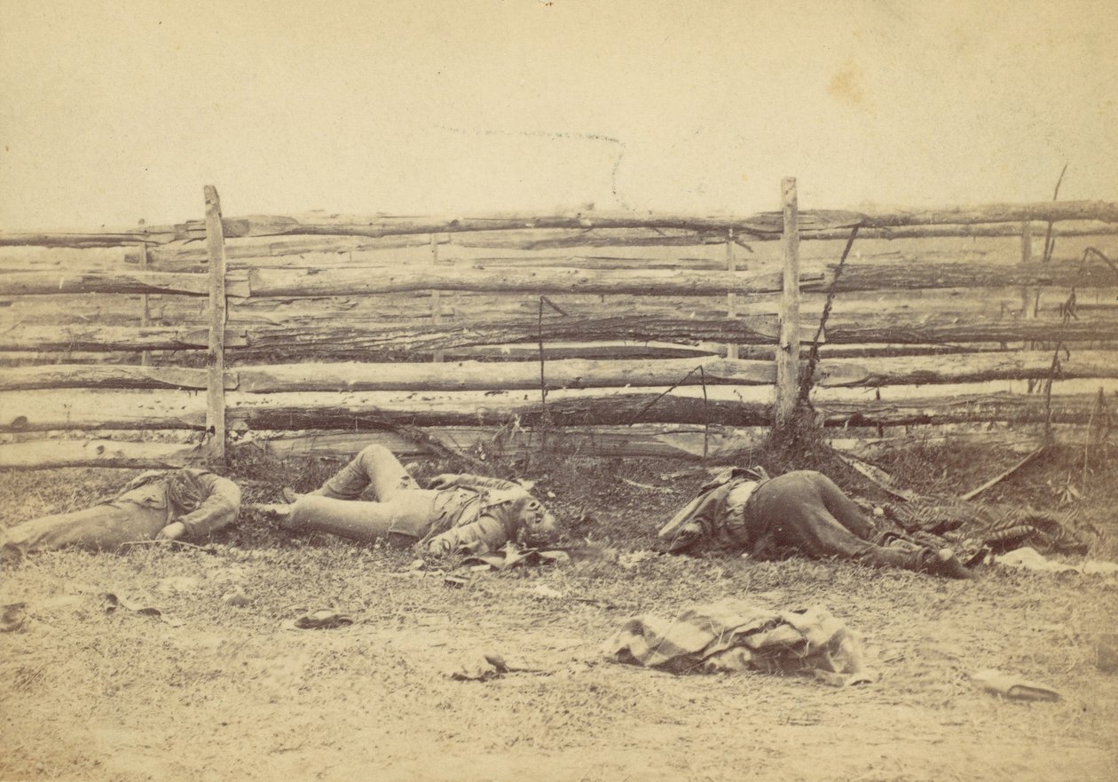 Utsikt i feltet, på vestsiden av Hagerstown Road, etter slaget ved Antietam, ..., 1862. av Alexander Gardner