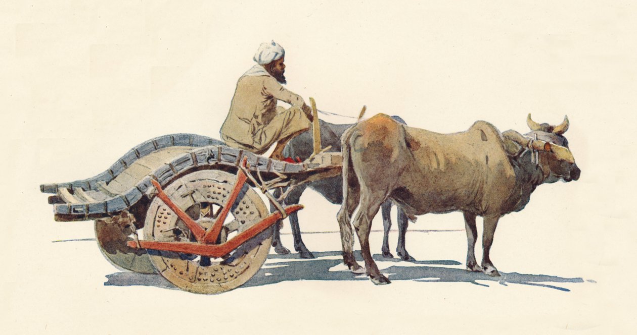 En oksevogn, Jodhpur, c1880 1905. av Alexander Henry Hallam Murray