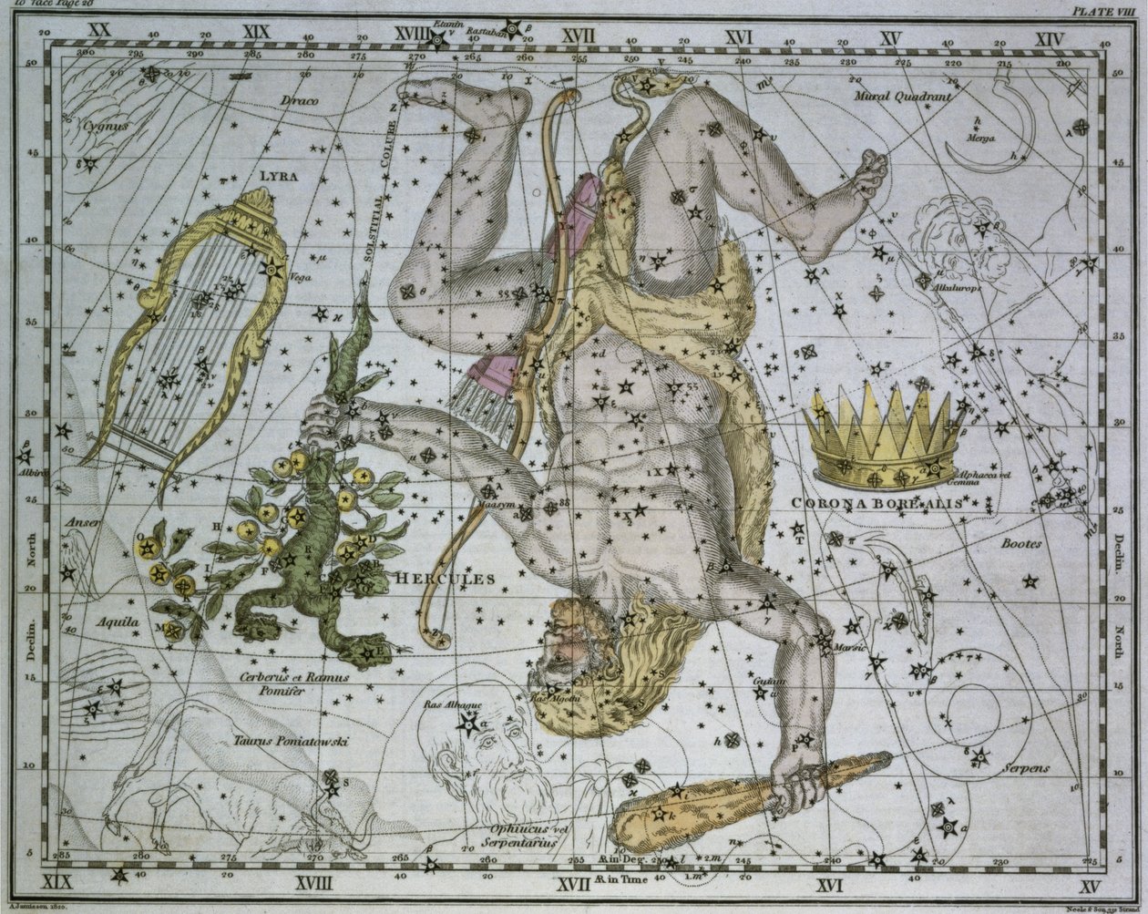 Hercules, fra 