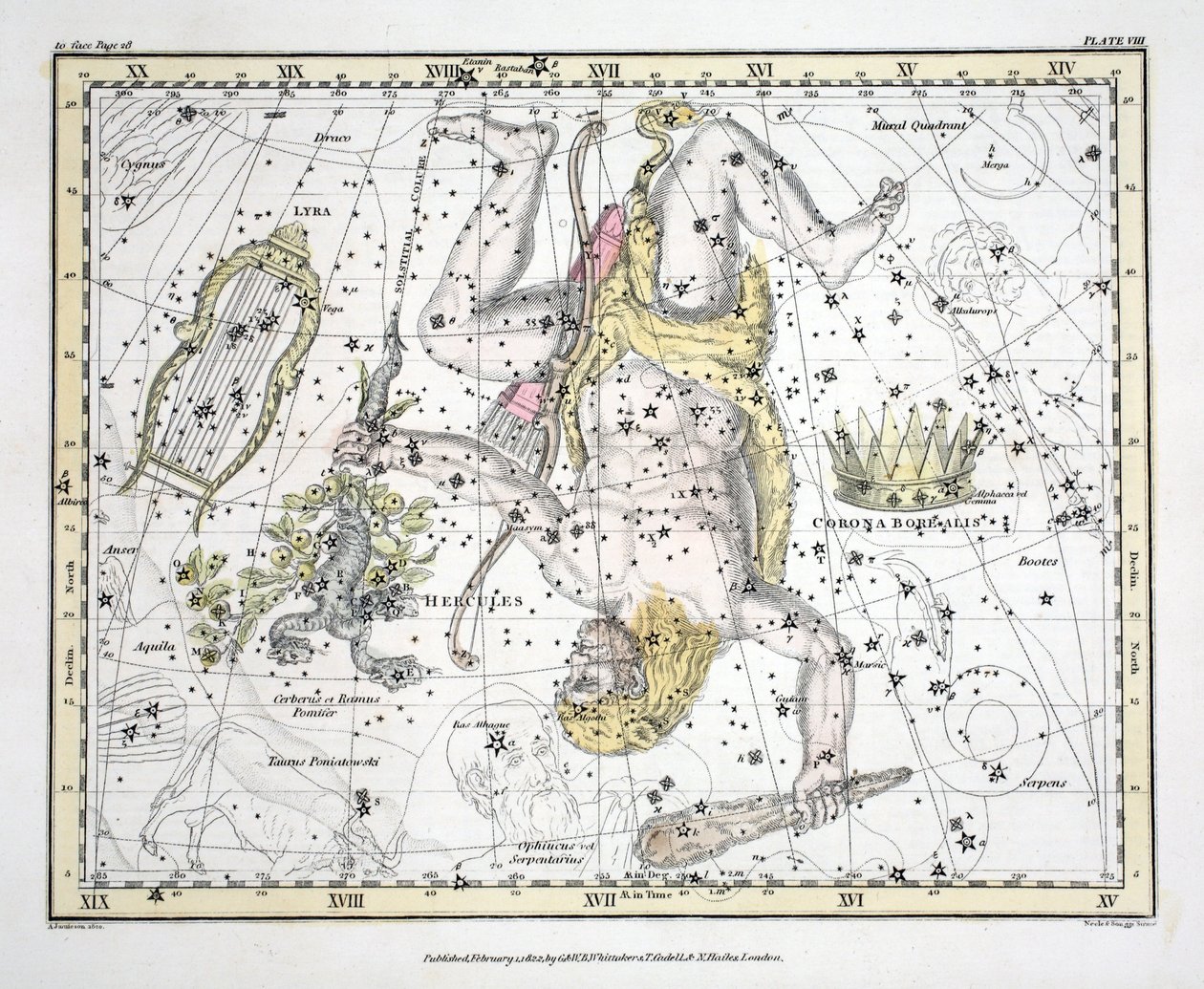 The Constellations (Plate VIII) Corona Borealis, Hercules and Cerberus, Lyra, fra 
