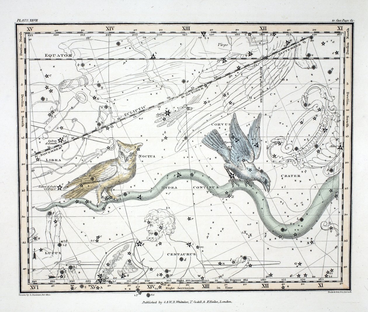 The Constellations (Plate XXVII) Hydra Continua, Crater, Covus, Centaurus et Lupus, fra 