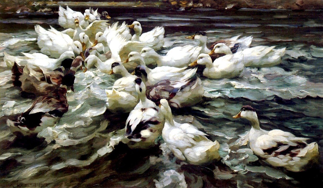Ducks Gathering (olje på lerret) av Alexander Koester