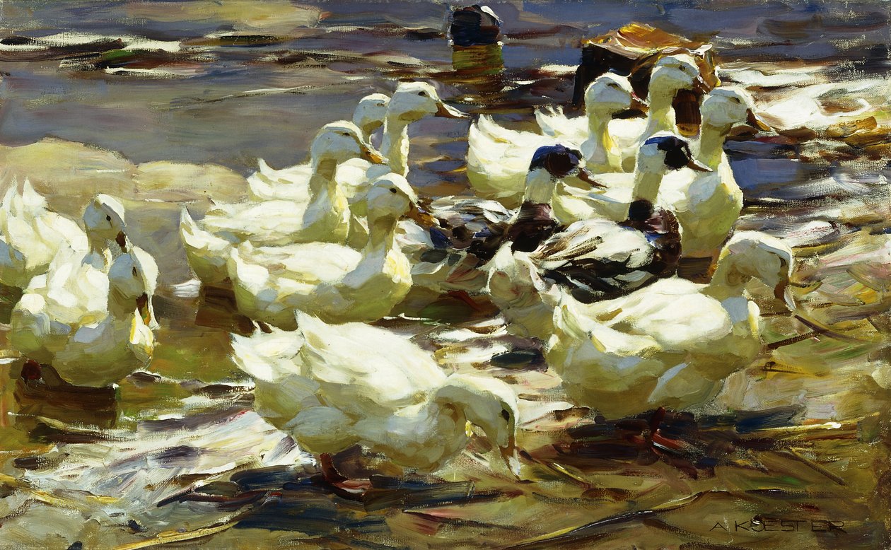 Ender i dammen; ender i dammen av Alexander Koester