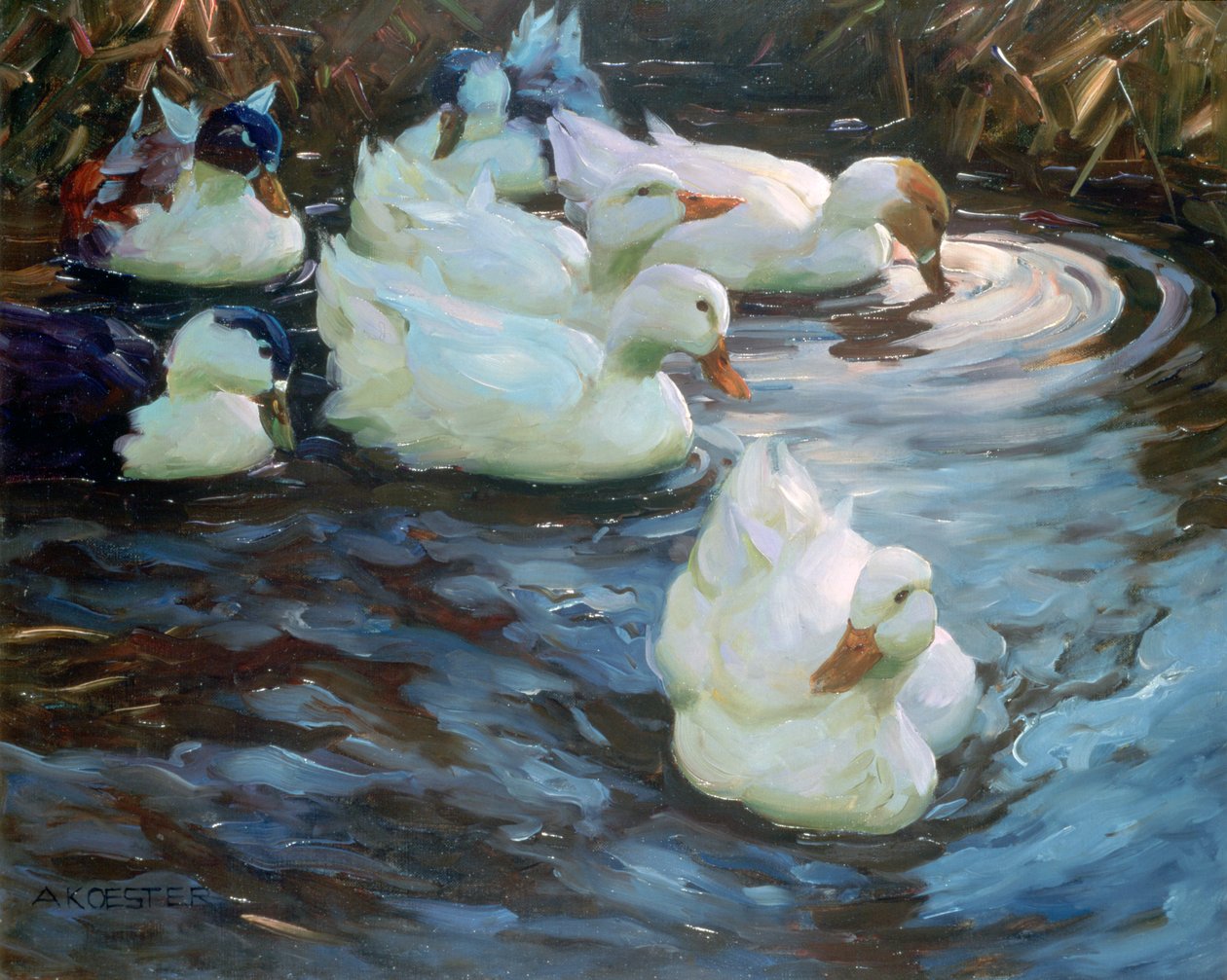 Ducks on a Pond, c1884-1932 av Alexander Koester