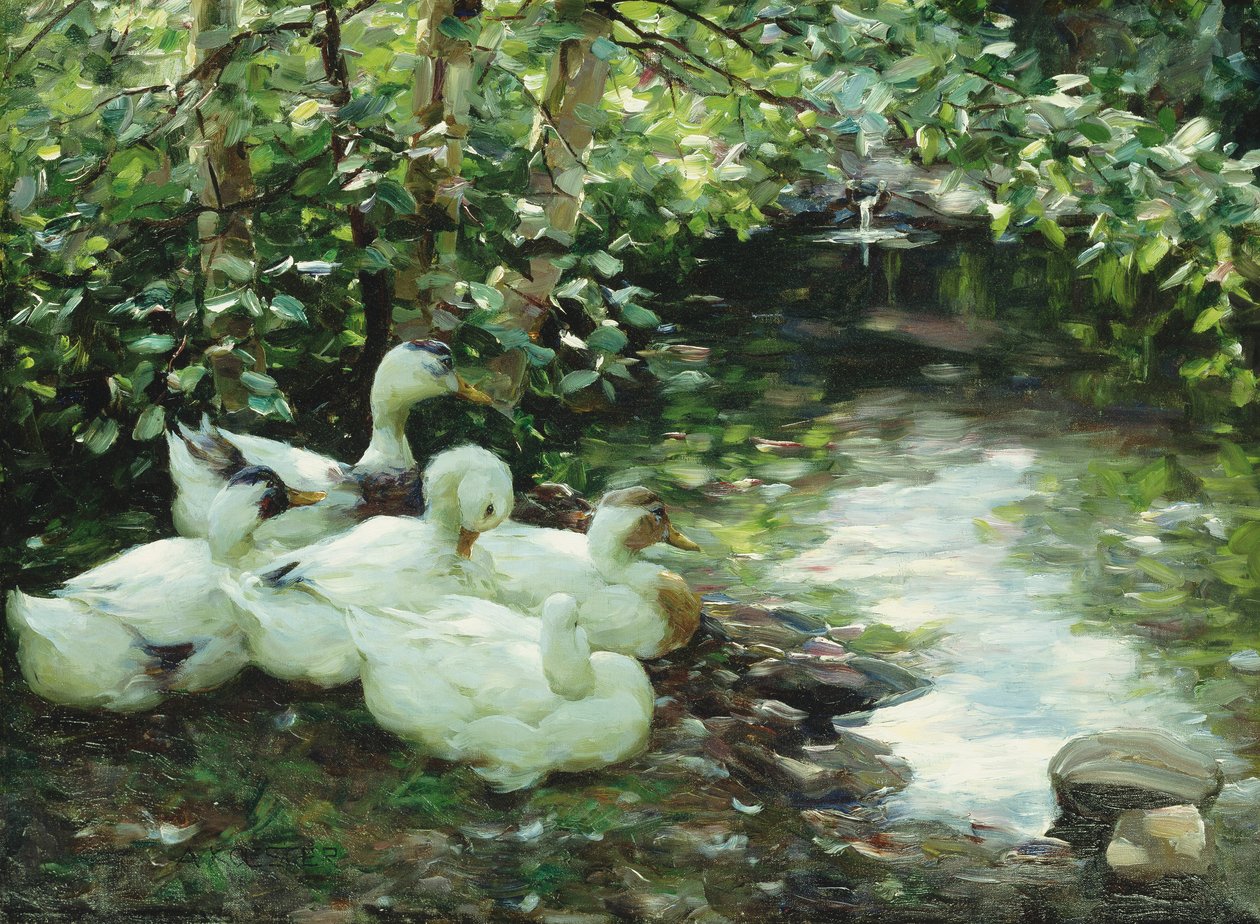 Fem ender på elven, steinete strand; Funf Enten am Bach, Steiniges Ufer av Alexander Koester