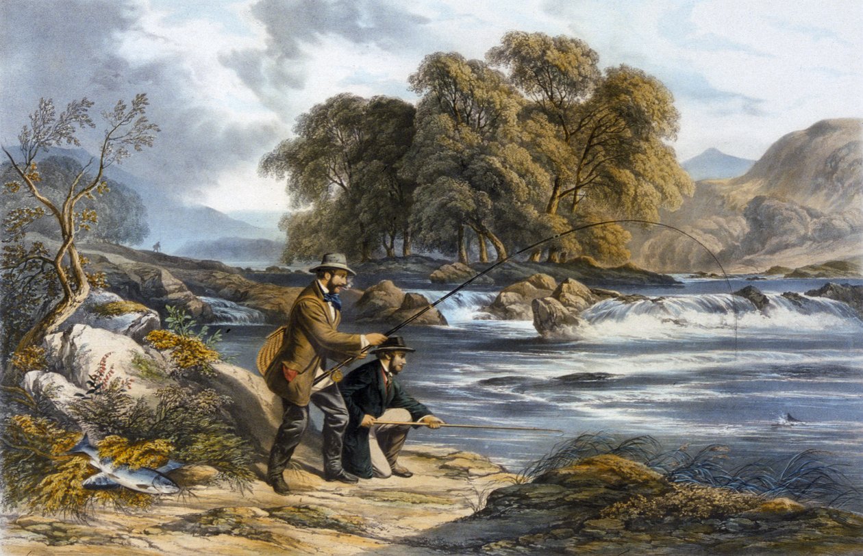 Laksefiske (akvarell på papir) av Alexander Rolfe