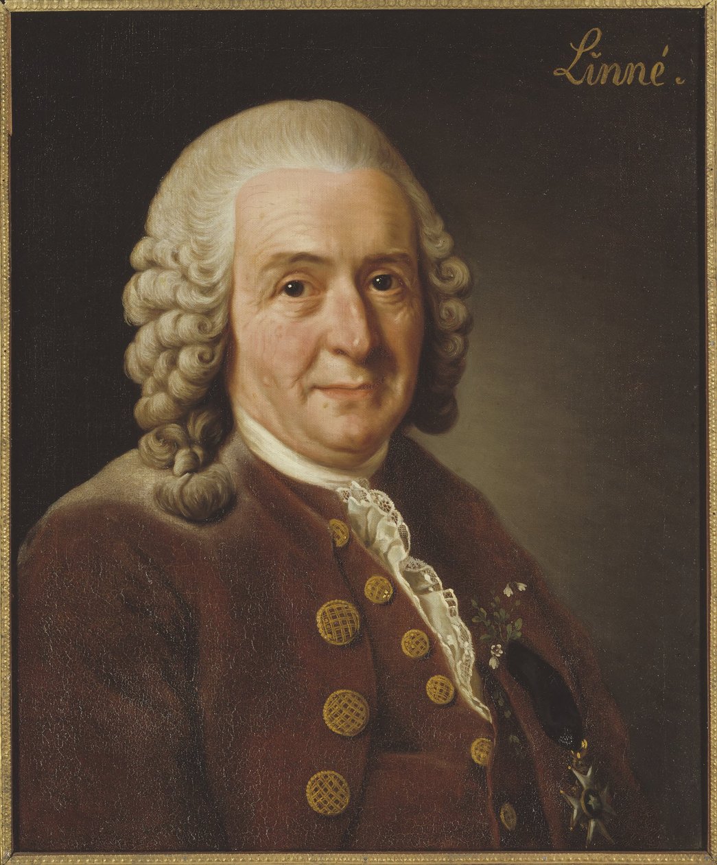 Carl von Linné (1707-1778), professor og botaniker, 1775 av Alexander Roslin