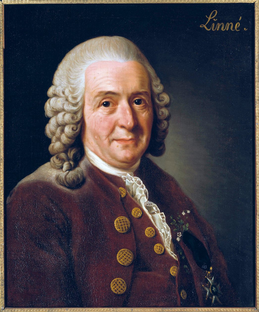 Portrett av Carl von Linne (Linnaeus) av Alexander Roslin