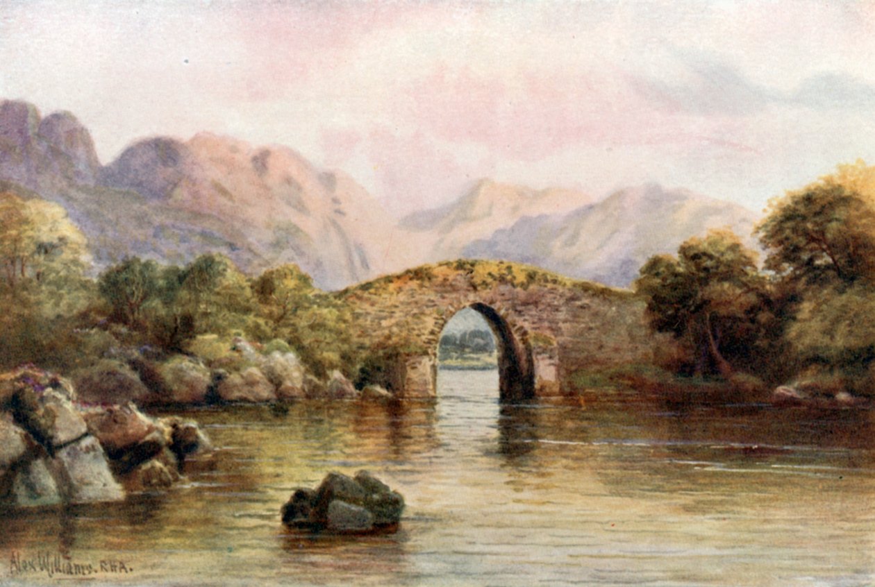  av Alexander Williams