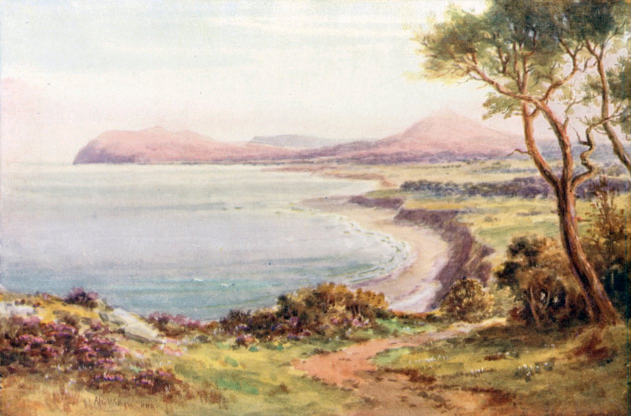  av Alexander Williams