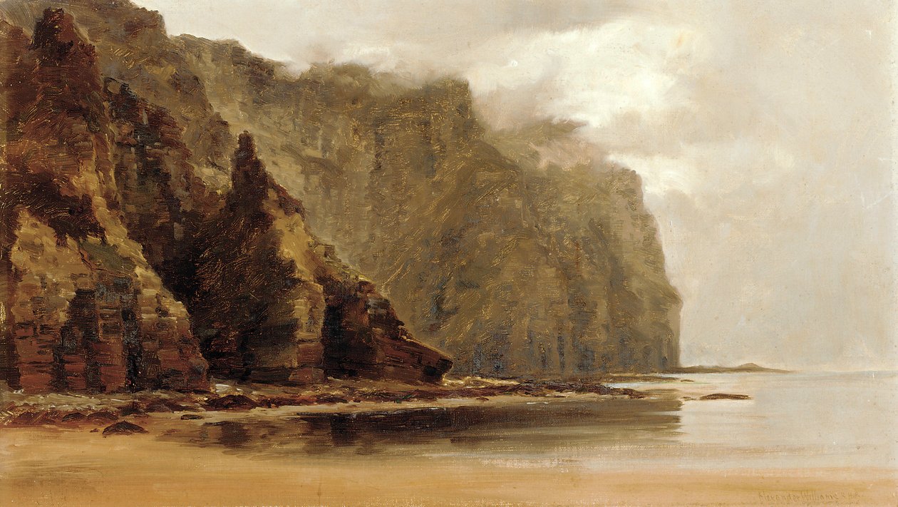 Minaun Cliffs, Achill Island, County Connacht, Irland (olje på lerret) av Alexander Williams