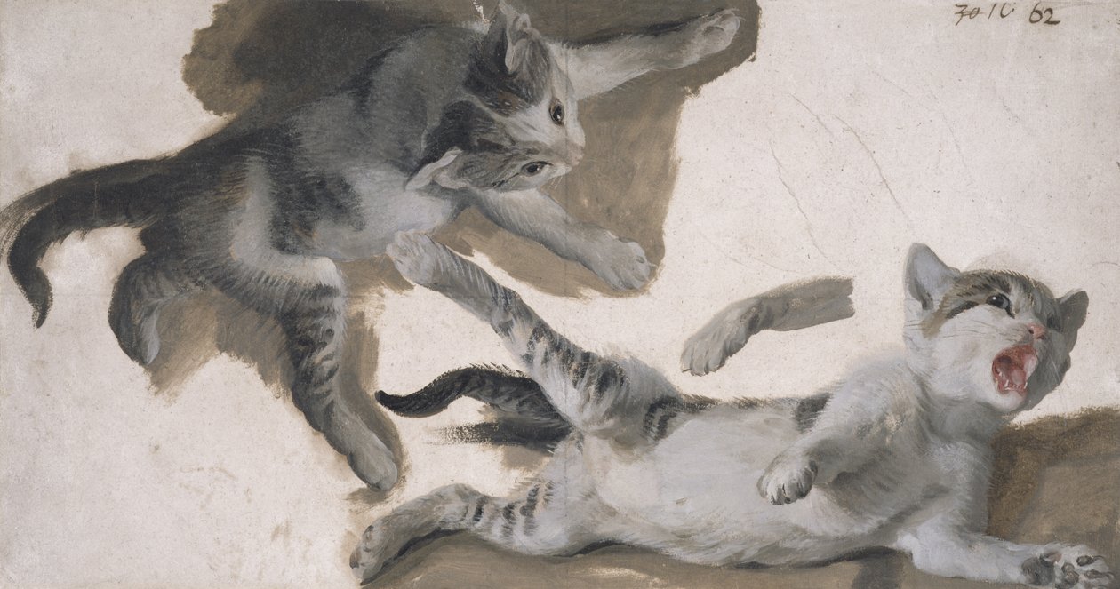 Skisser av en kattunge (olje på papir) av Alexandre Francois Desportes