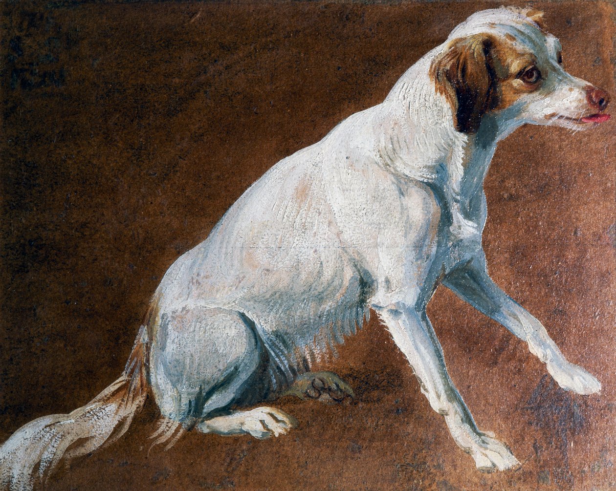 Fransk spaniel stamfar, av Alexandre-Francois Desportes (1661-1743), Frankrike av Alexandre Francois Desportes