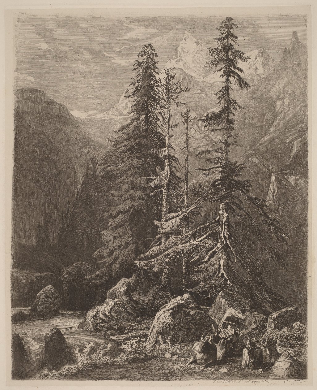 Raderingsstudier av Alexandre Calame, I, plansje 21 av Alexandre Calame