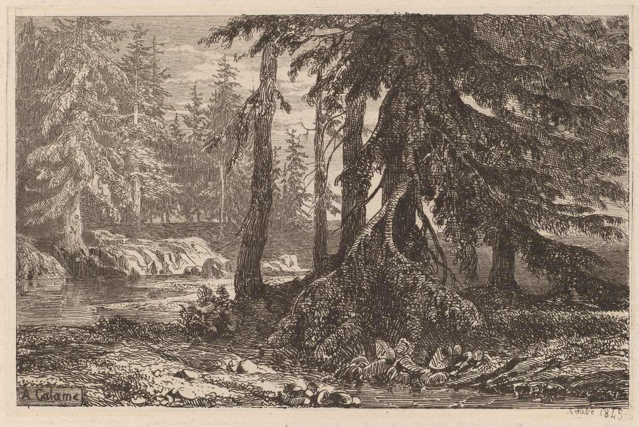 Etsningsforsøk av Alexandre Calame, III, pl. 16 av Alexandre Calame