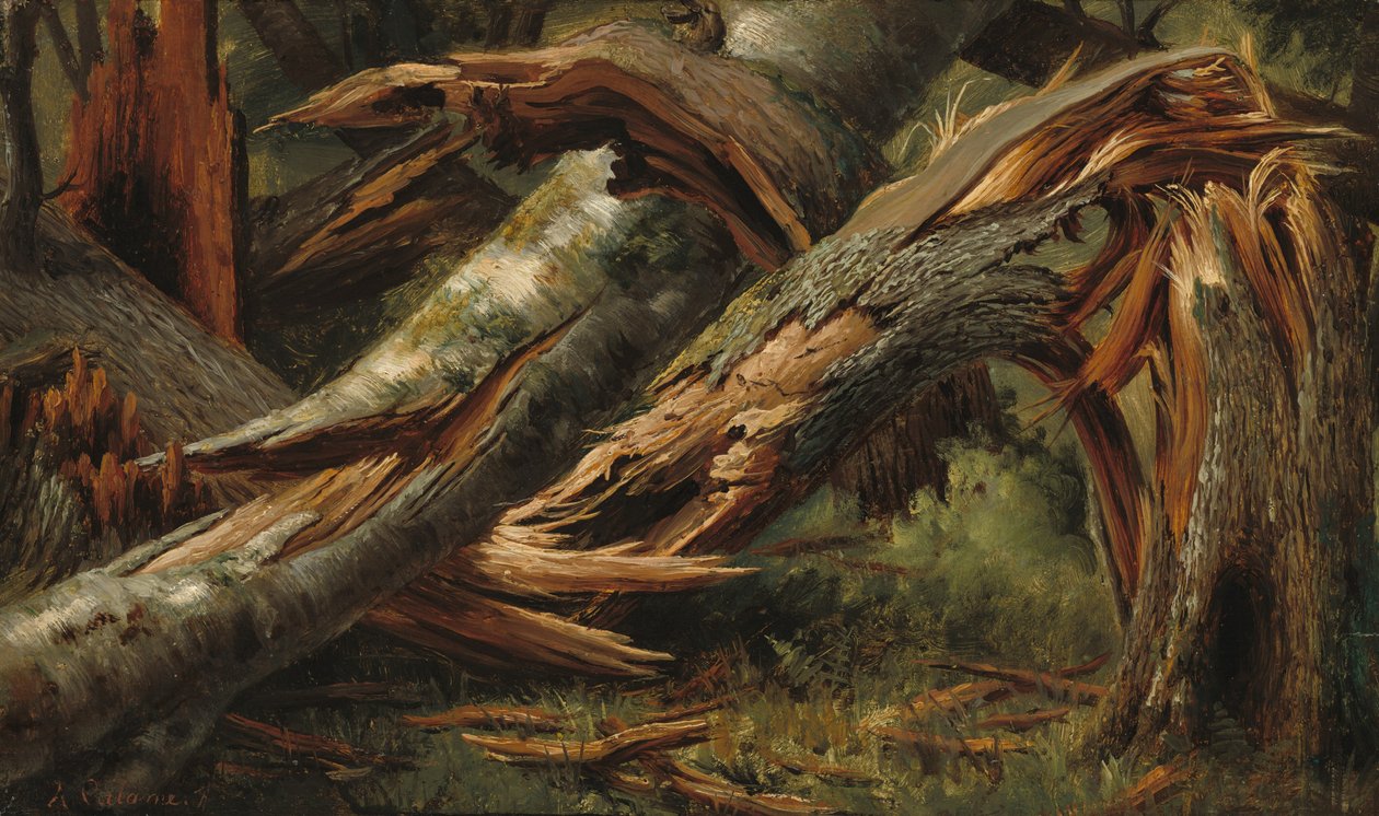 Falt tre av Alexandre Calame