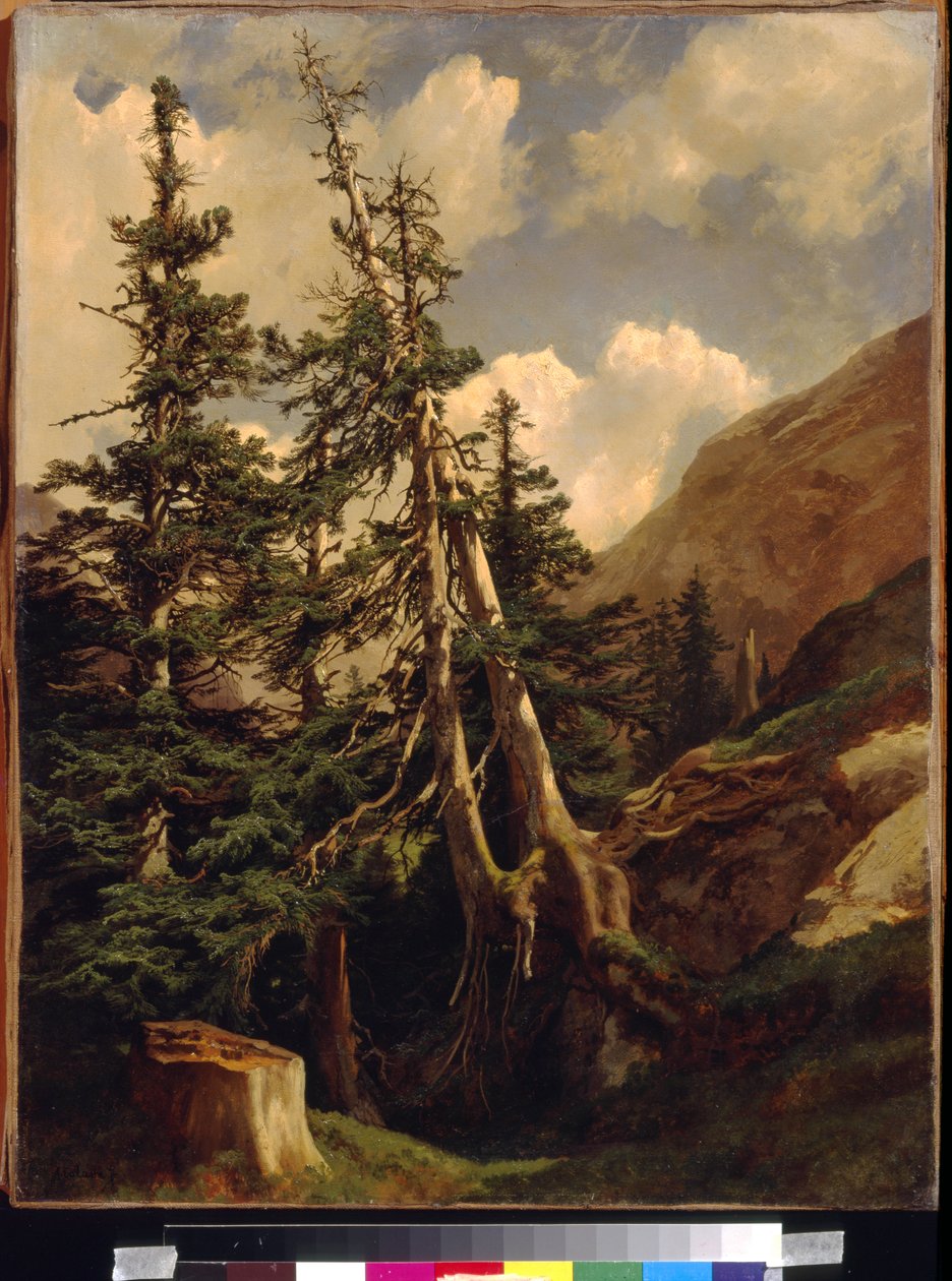 Graner i fjellene ved Calame, Alexandre (1810-1864). Olje på lerret, Dimensjon: 68,5x53. State A. Pushkin Museum of Fine Arts, Moskva av Alexandre Calame