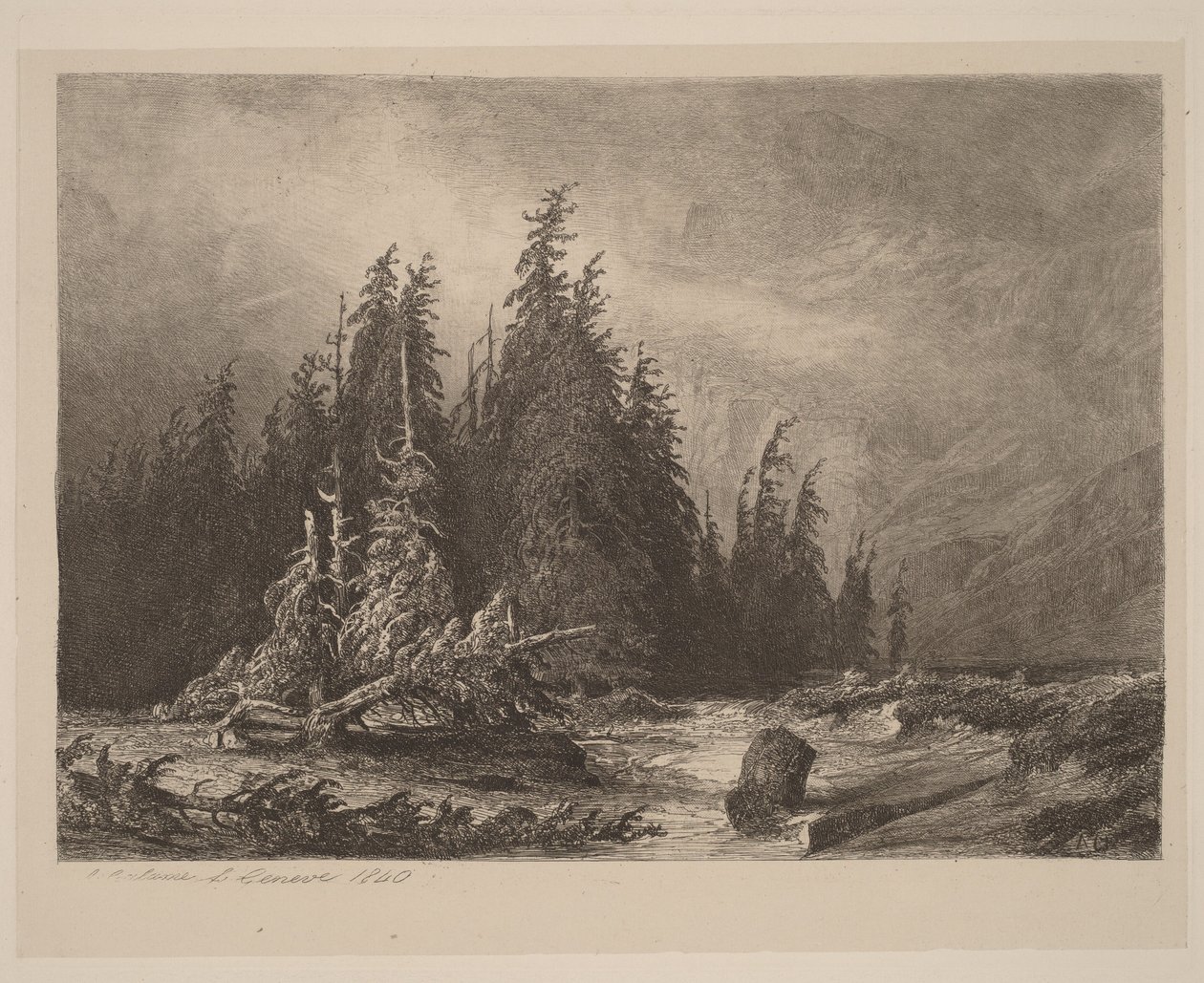 Fjellfuruer av Alexandre Calame