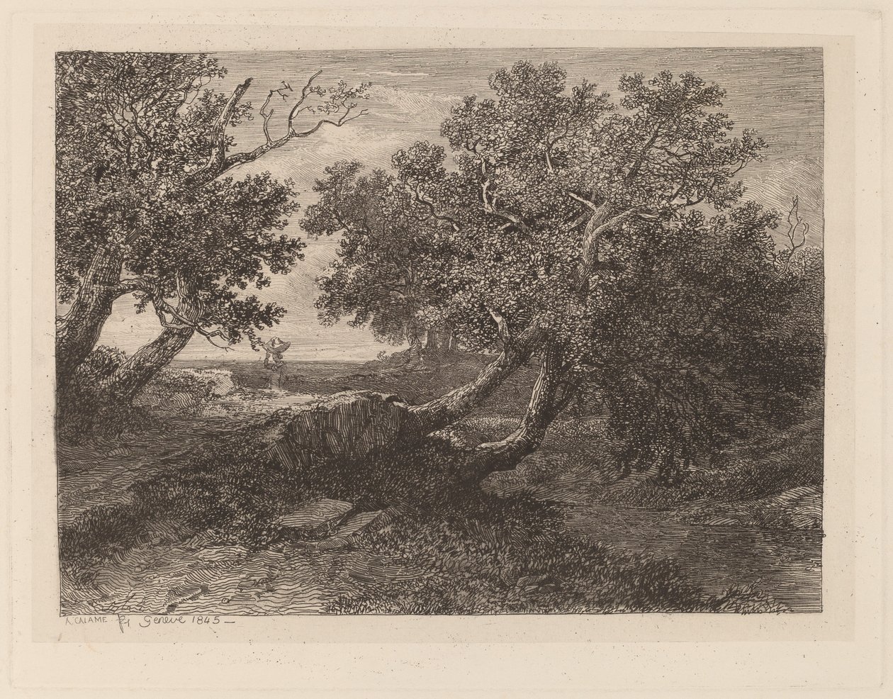 Strøm med overhengende trær av Alexandre Calame