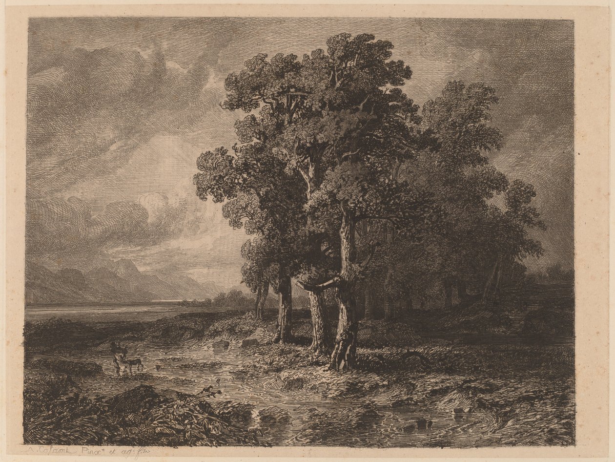 Trær i en storm av Alexandre Calame