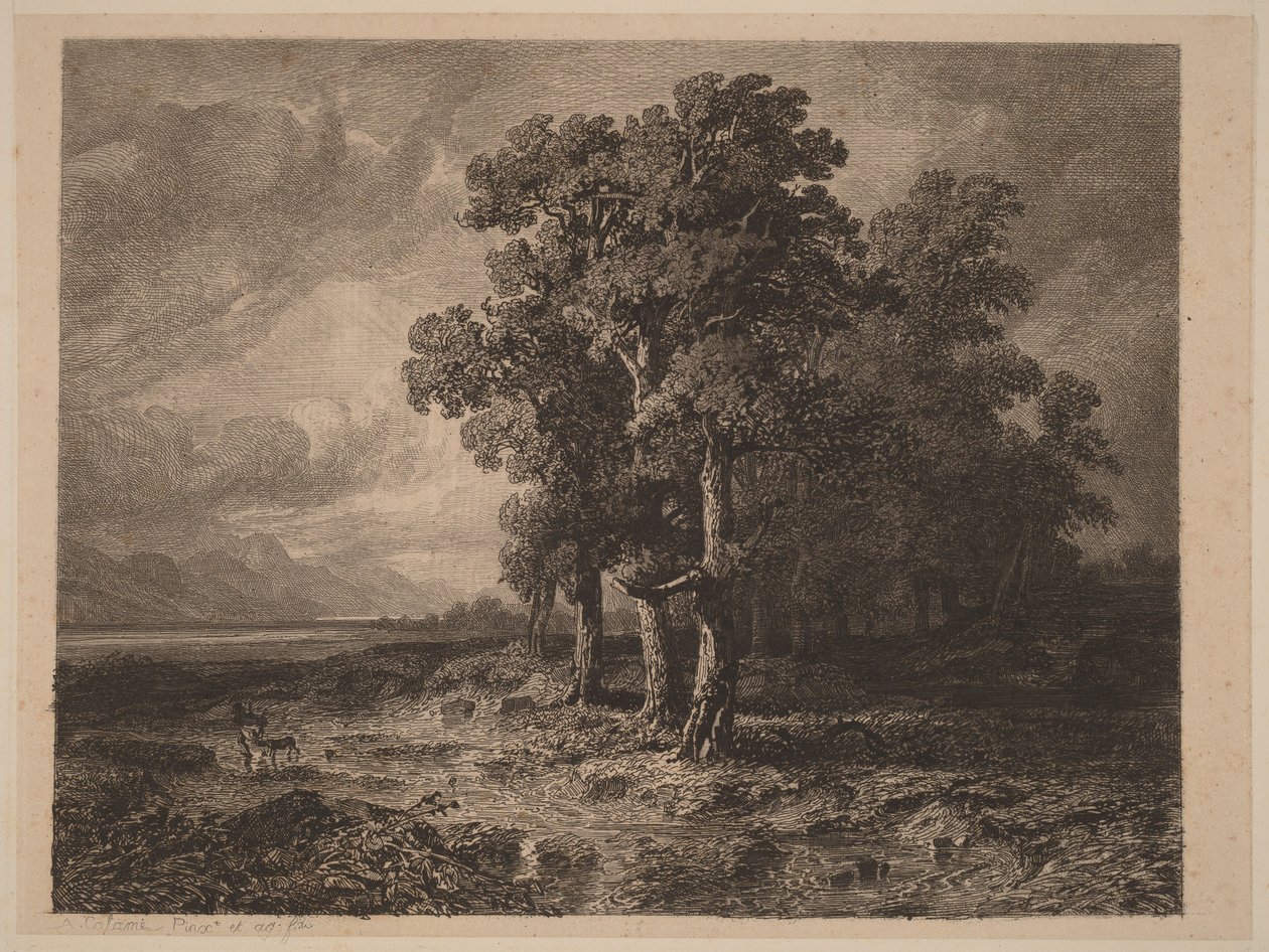 Trær i storm av Alexandre Calame