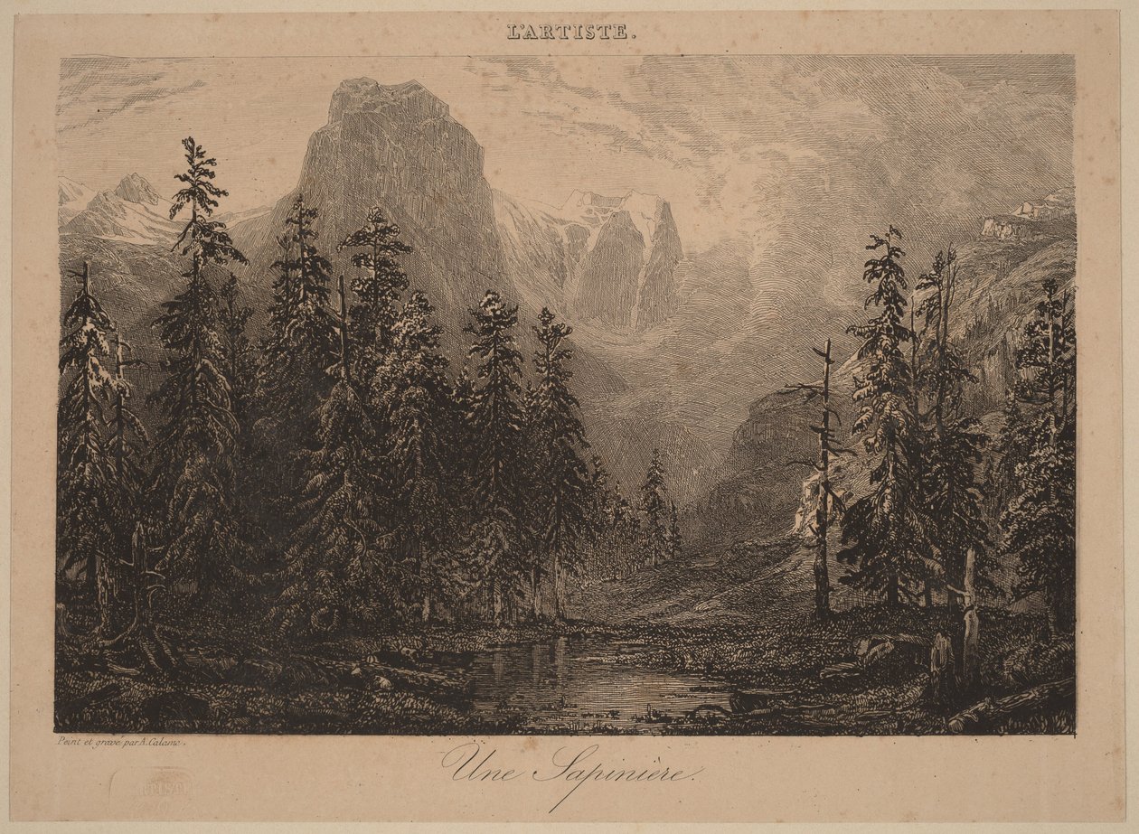 En granskog av Alexandre Calame