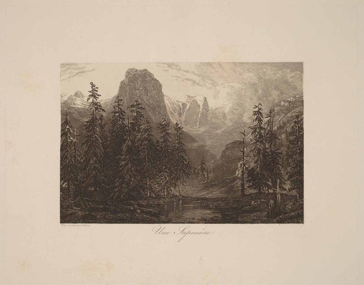 En granskog av Alexandre Calame