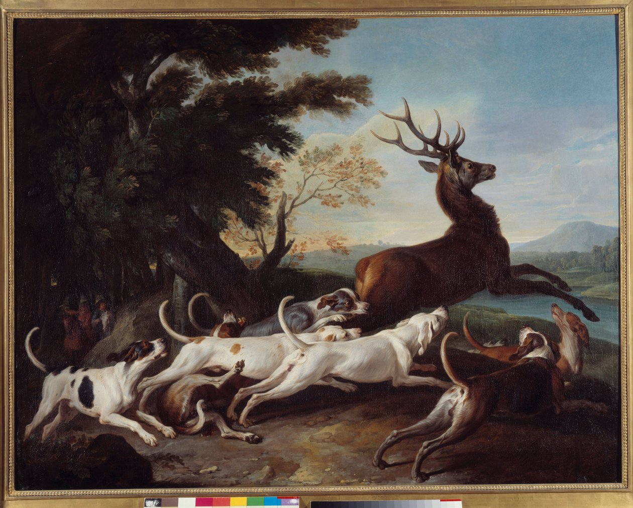 Jakt: “” Debuche du deer”” Maleri av Francois Desportes (1661-1743) 1718 Søn. 1,1x1,45 m Rouen, Museum of Fine Arts av Alexandre Francois Desportes