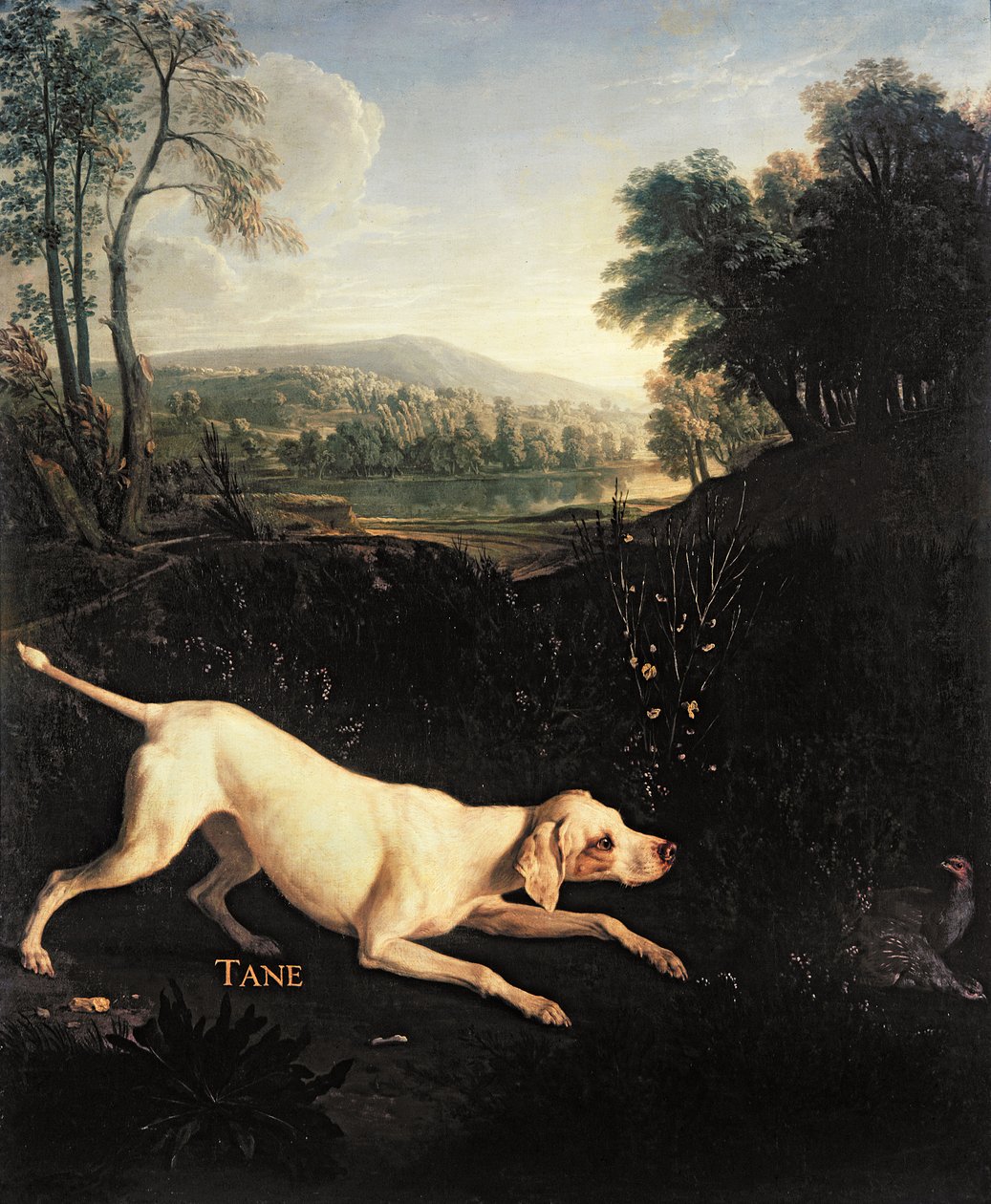 Ludvig XIVs hund, Tane av Alexandre Francois Desportes