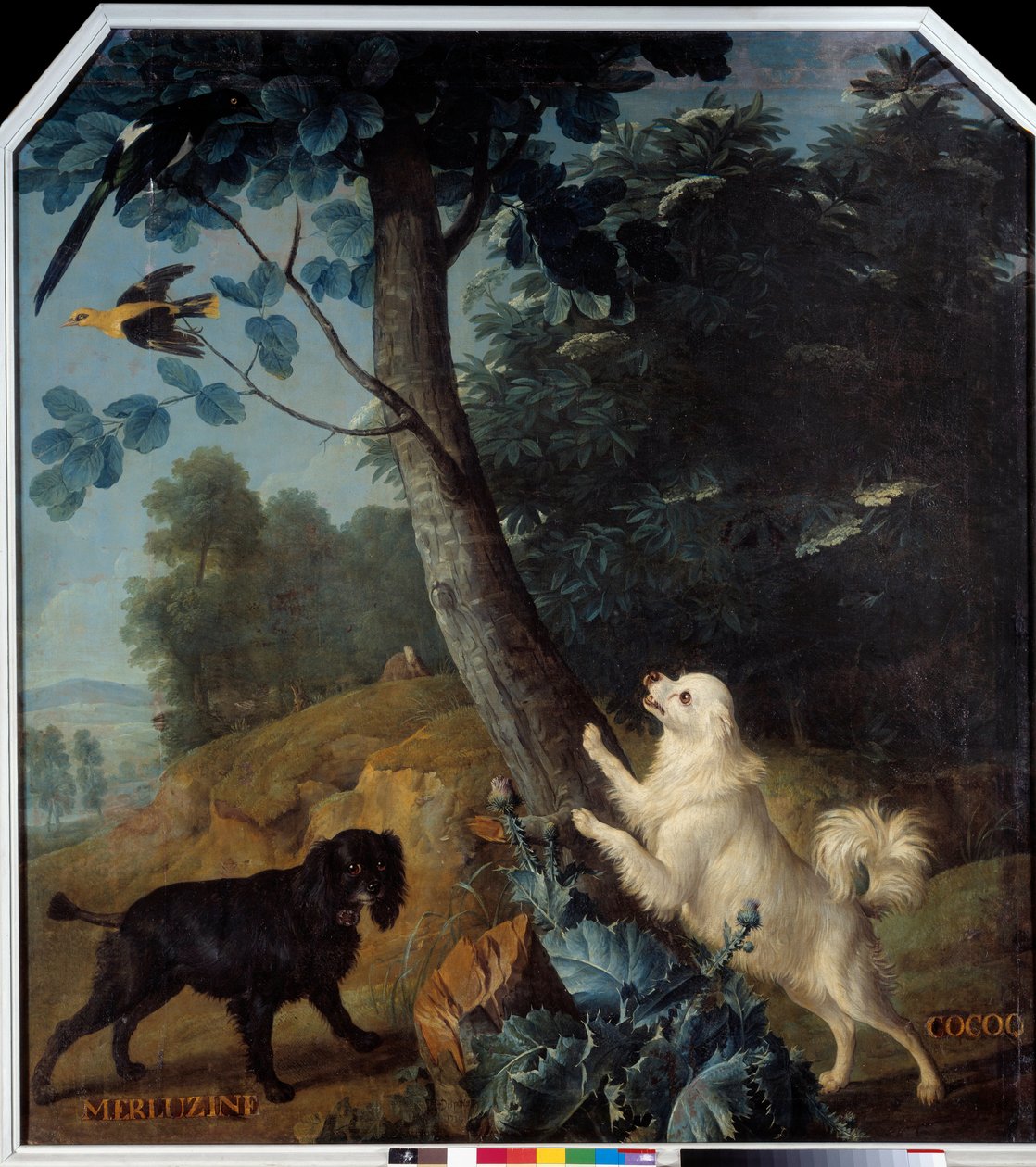Merluzine og Cocoq, hundene til Ludvig XIV (1638-1715). Maleri av Francois Desportes (1661-1743) av Alexandre Francois Desportes