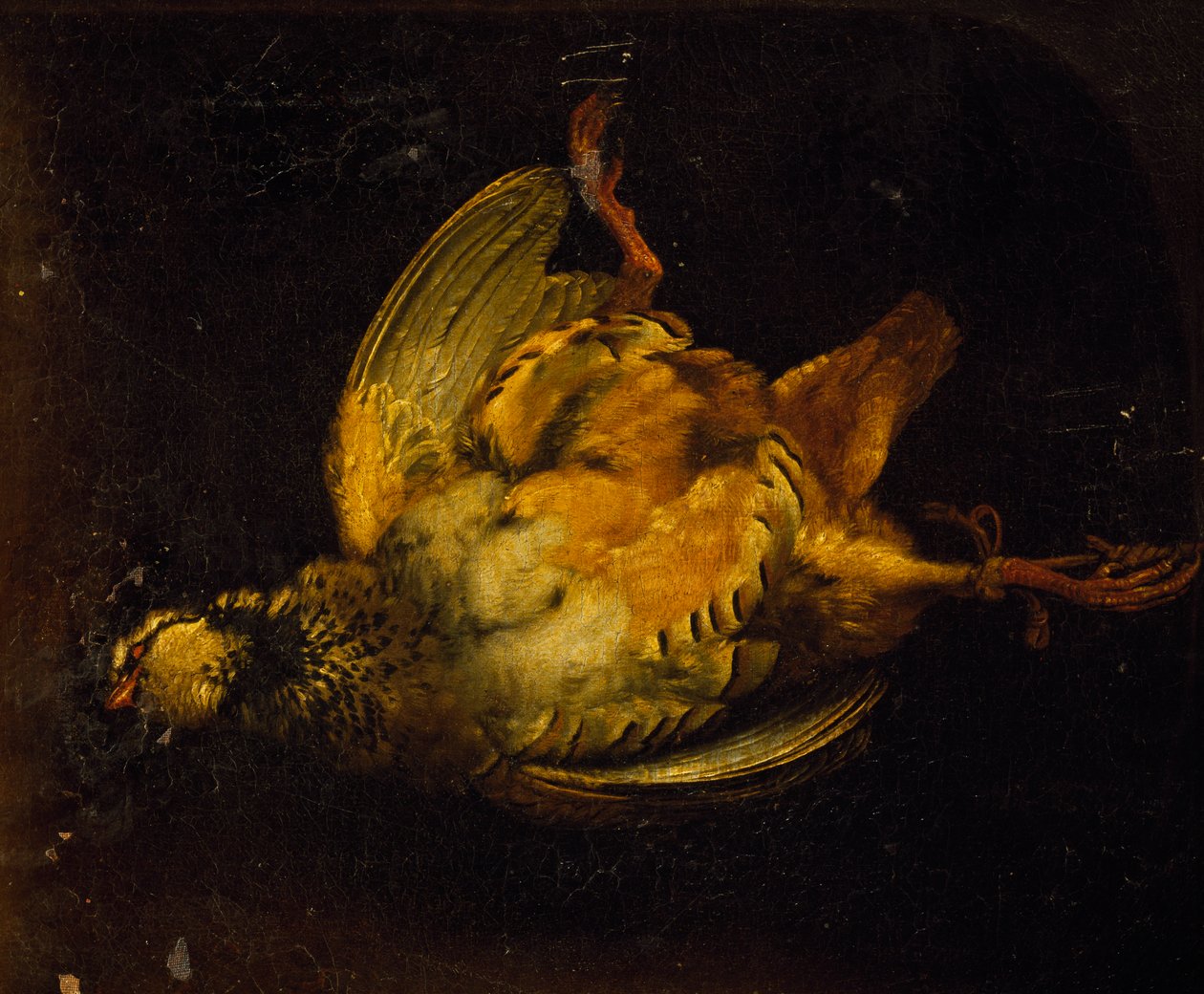 Stilleben med rapphøne, maleri av Alexandre-Francois Desportes (1661-1743), Frankrike av Alexandre Francois Desportes