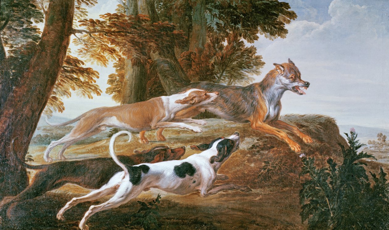 Ulvejakten, ca. 1720 av Alexandre Francois Desportes