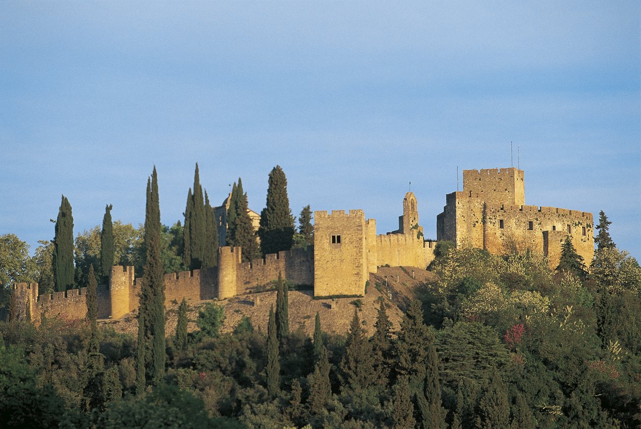 Portugal - Tomar. Kristi kloster. UNESCOs verdensarvliste av Nicolas Toussaint Charlet