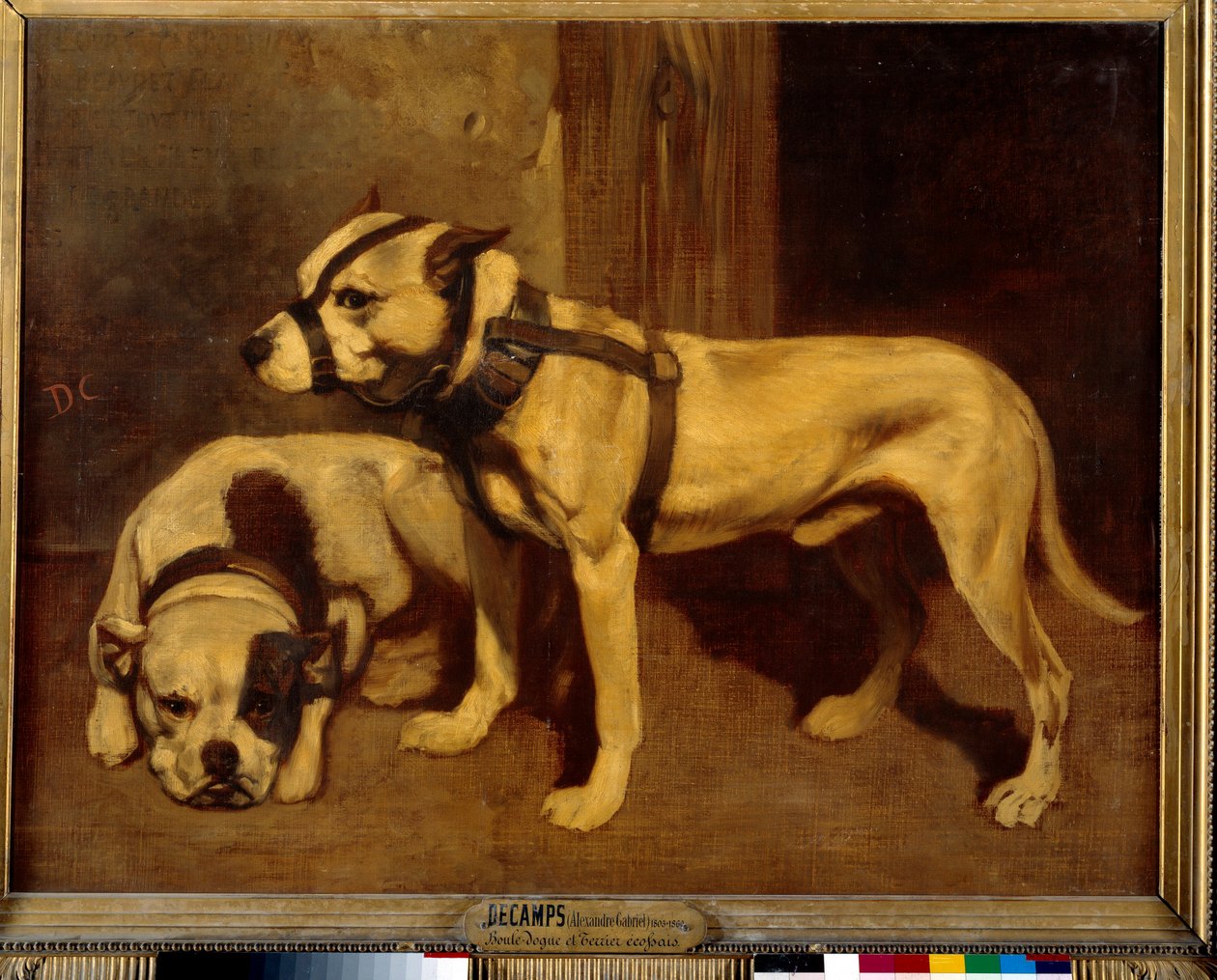 Scottish Bulldog og Terrier Bad Dog med snute. Maleri av Alexandre Gabriel Decamps av Alexandre Gabriel Decamps