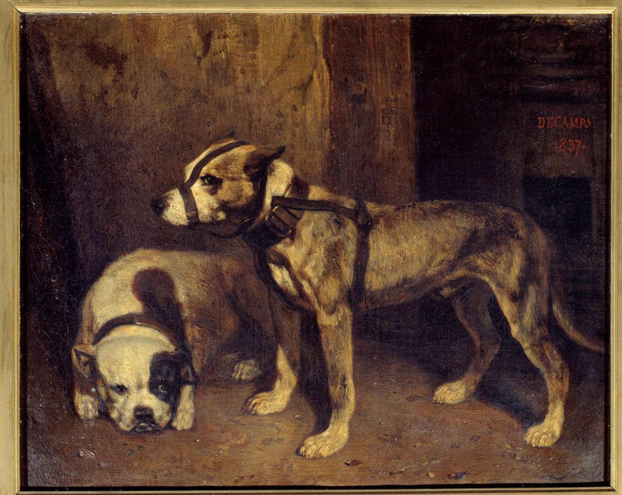Skotsk bulldog og terrier-maleri av Alexandre Gabriel Decamps (1803-1860) 1800-tallets søn. 1,04x1,34 m av Alexandre Gabriel Decamps