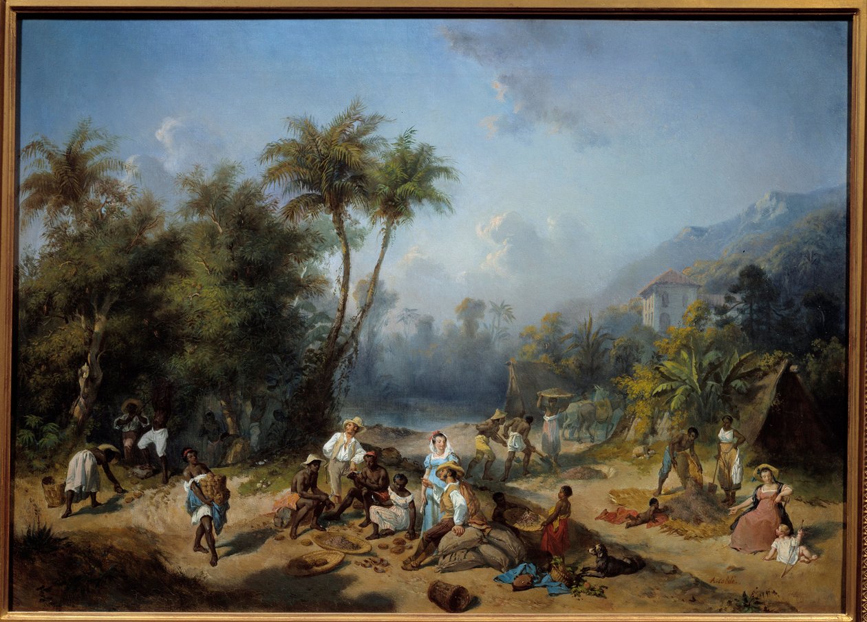 En kakaoplantasje i Vestindia Maleri av Alexandre Balance (1822-1893) 1800-tallets søn. 0,5x0,7 m La Rochelle, Musee du Nouveau Monde - En kakaoplantasje i Vestindia. Maleri av Alexandre Balance (1822-1893) av Alexandre Solde
