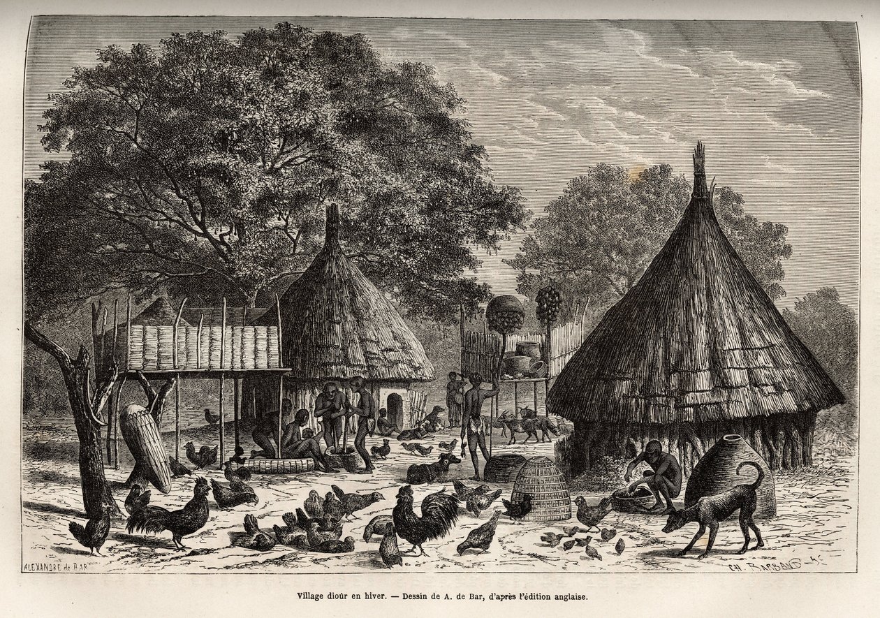 Village Diour om vinteren (Sudan) og daglige aktiviteter til innbyggerne i midten av dyr oppdratt av samfunnet, gravering etter tegningen av A. de Bar, som illustrerer reisen til hjertet av Afrika i 1868-1871, av Dr. Georges Schweinfurt av Alexandre de (after) Bar