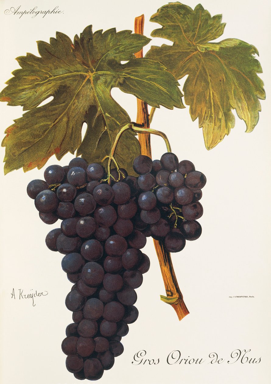 Gros Oriou de Mus grape by A. Kreyder   1414540   no       norwegian Successfully Translated  Original: Ruïne van Kasteel Brandenbourg Translat: Ruïne van Kasteel Brandenbourg 1368636 no norwegian Successfully Translated Original: Farm at the Monastery (La av Alexis Kreyder