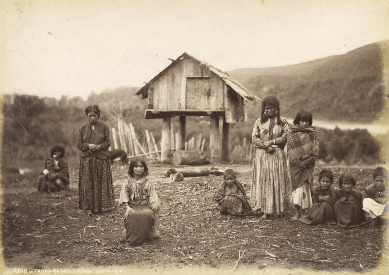 Taumaranui - King Country, 29. mai 1885 (albumtrykk) av Alfred Burton