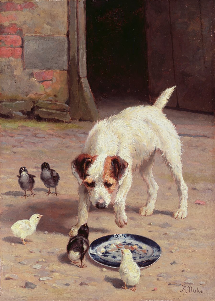 Konfrontasjon av Alfred Duke