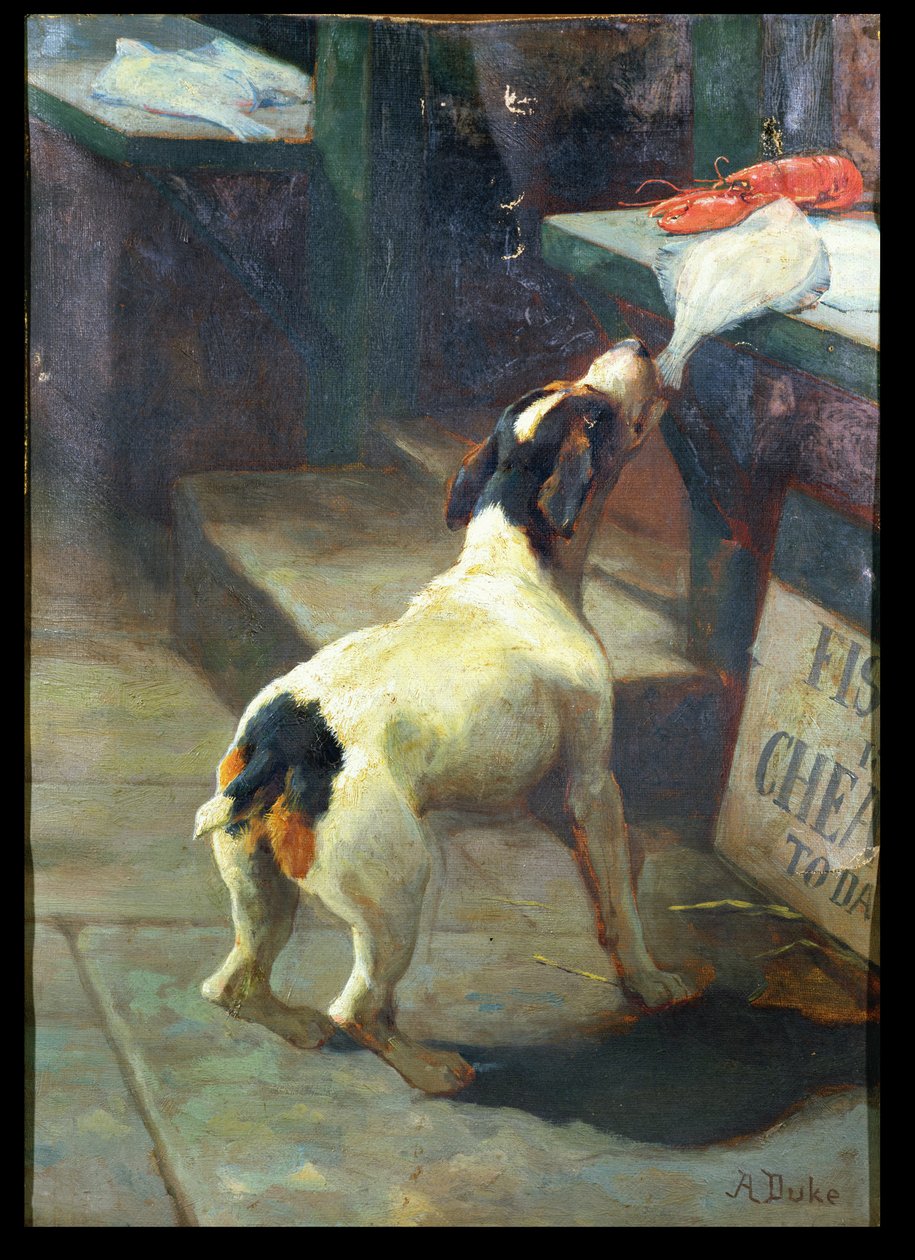 Fisk er billig i dag av Alfred Duke