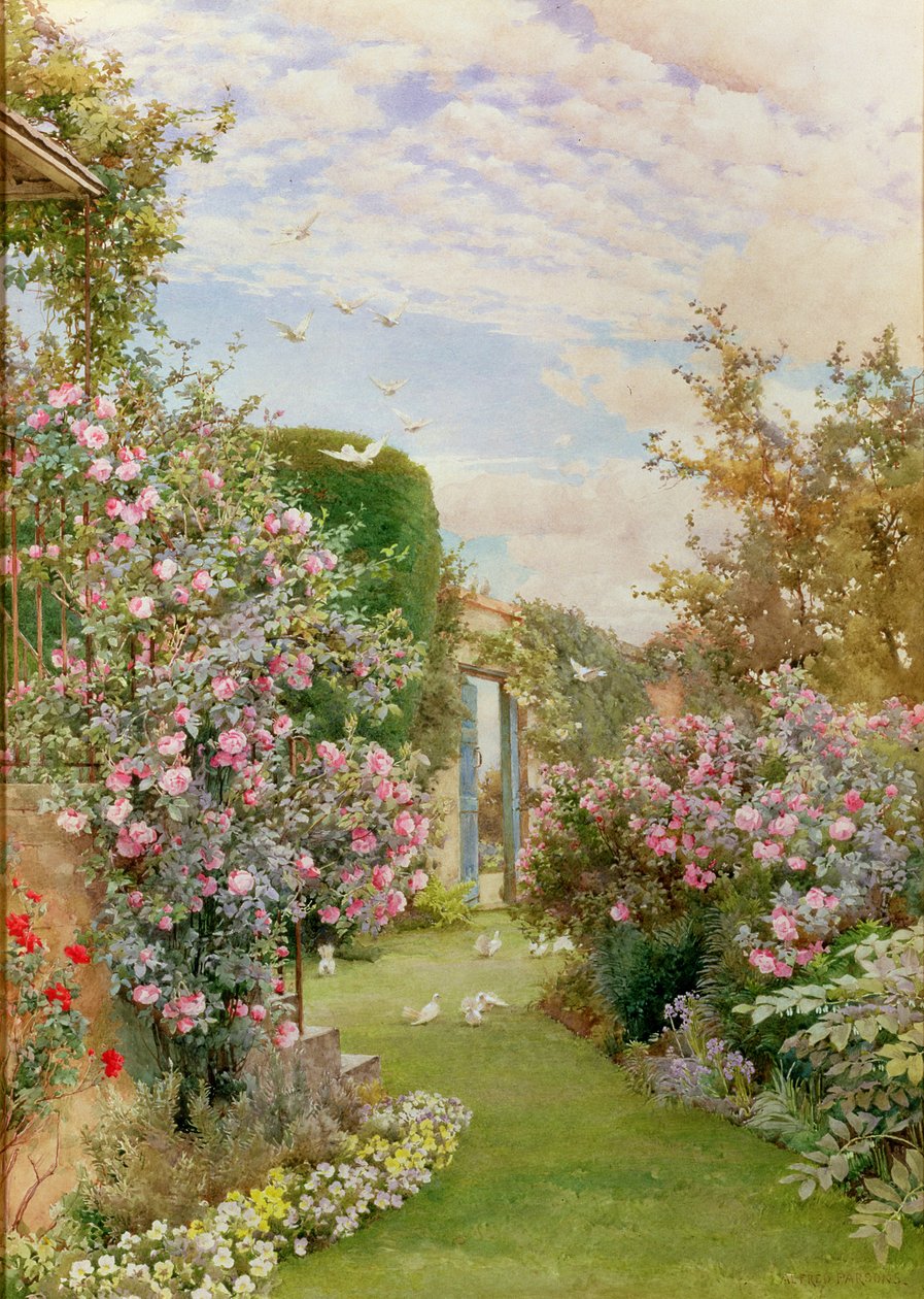 China Roses, Broadway av Alfred Parsons