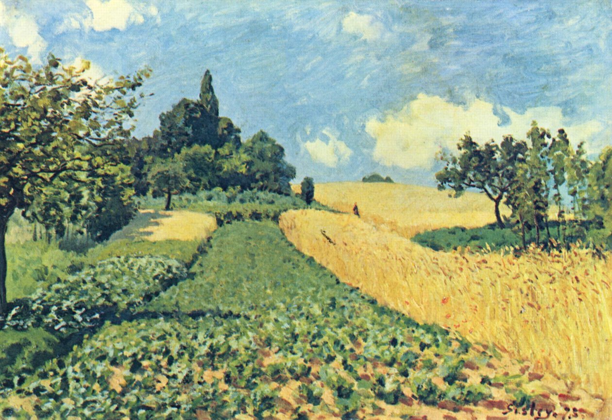 Kornåker på Argenteuil -åsene av Alfred Sisley